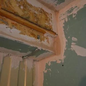 Boca Raton’s Guide to Mold Removal and Prevention